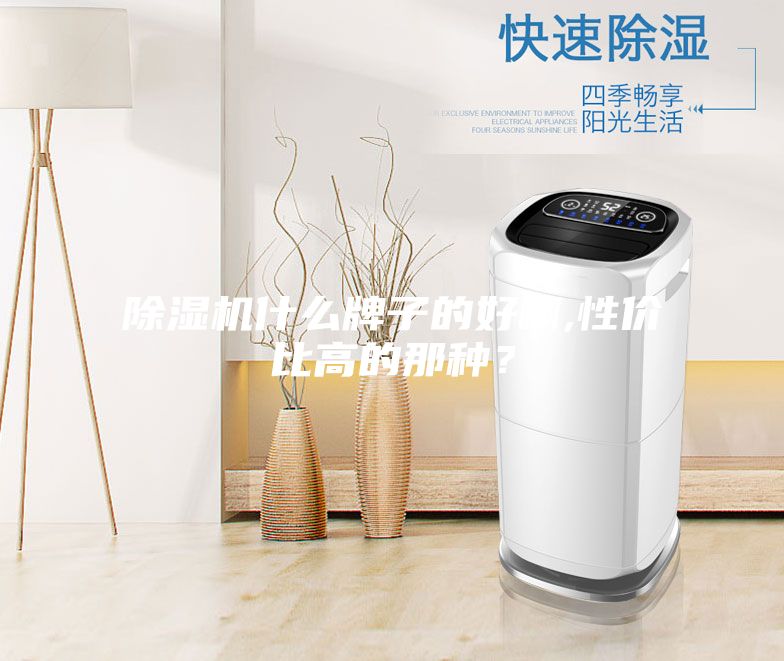 除湿机什么牌子的好啊,性价比高的那种？