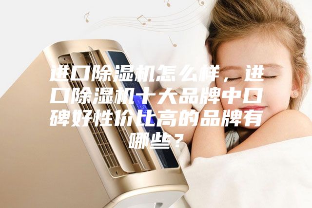 进口除湿机怎么样，进口除湿机十大品牌中口碑好性价比高的品牌有哪些？
