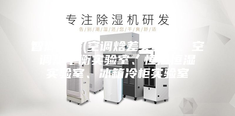 智源测控(空调焓差实验室、空调热平衡实验室、恒温恒湿实验室、冰箱冷柜实验室