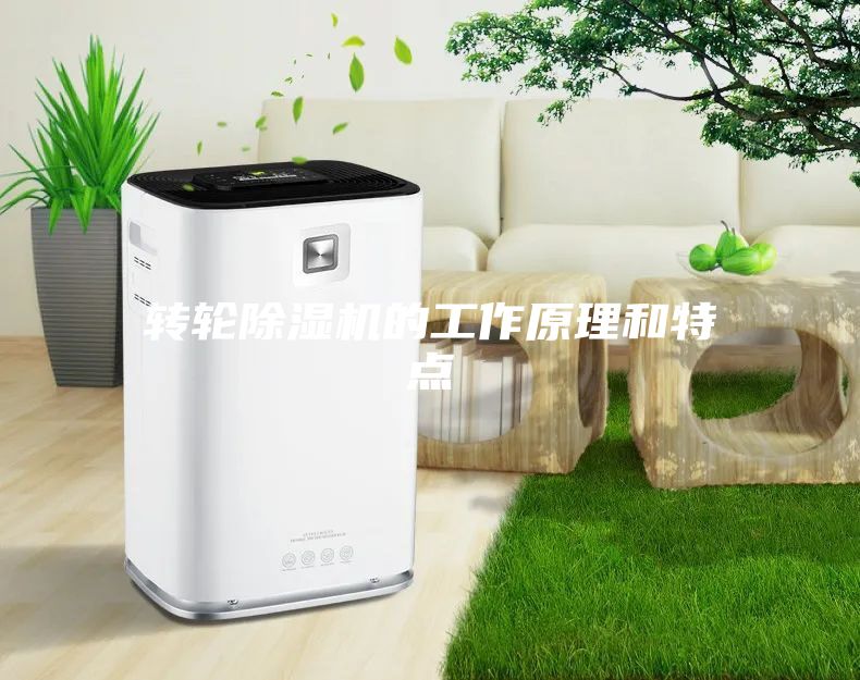 转轮除湿机的工作原理和特点