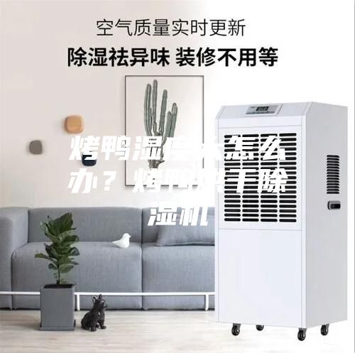 烤鸭湿度大怎么办？烤鸭烘干除湿机