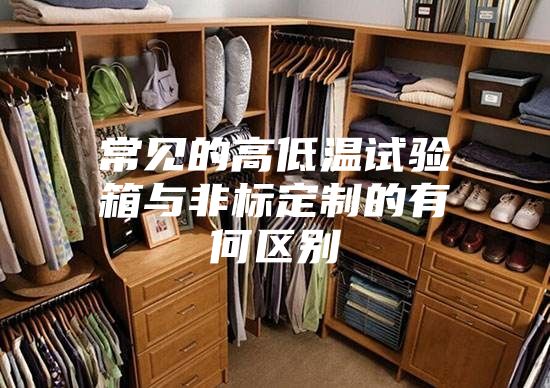 常见的高低温试验箱与非标定制的有何区别