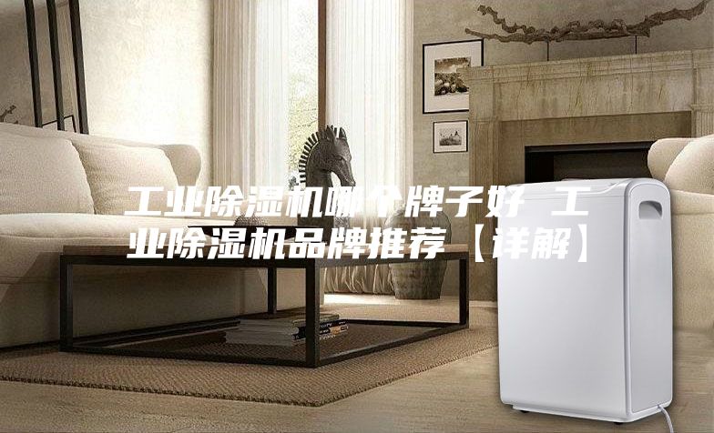 工业除湿机哪个牌子好 工业除湿机品牌推荐【详解】