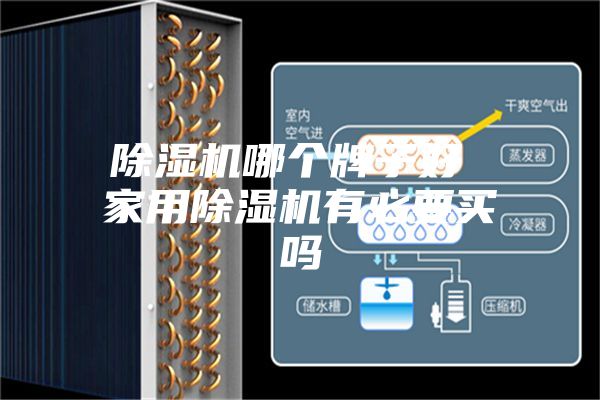 除湿机哪个牌子好 家用除湿机有必要买吗