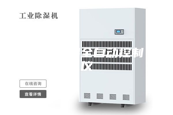 恒温恒湿全自动控制仪
