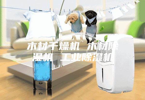 木材干燥机 木材除湿机 工业除湿机