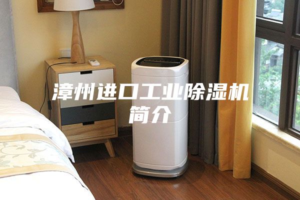 漳州进口工业除湿机简介
