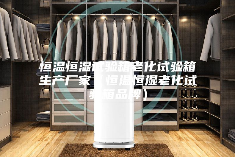 恒温恒湿试验箱老化试验箱生产厂家（恒温恒湿老化试验箱品牌）