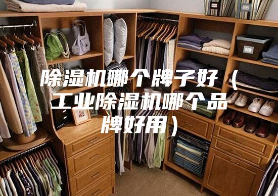 除湿机哪个牌子好(工业除湿机哪个品牌好用)