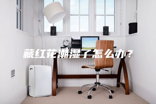 藏红花潮湿了怎么办?