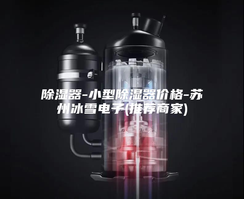 除湿器-小型除湿器价格-苏州冰雪电子(推荐商家)