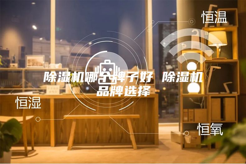 除湿机哪个牌子好 除湿机品牌选择