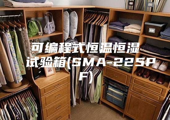 可编程式恒温恒湿试验箱(SMA-225PF)