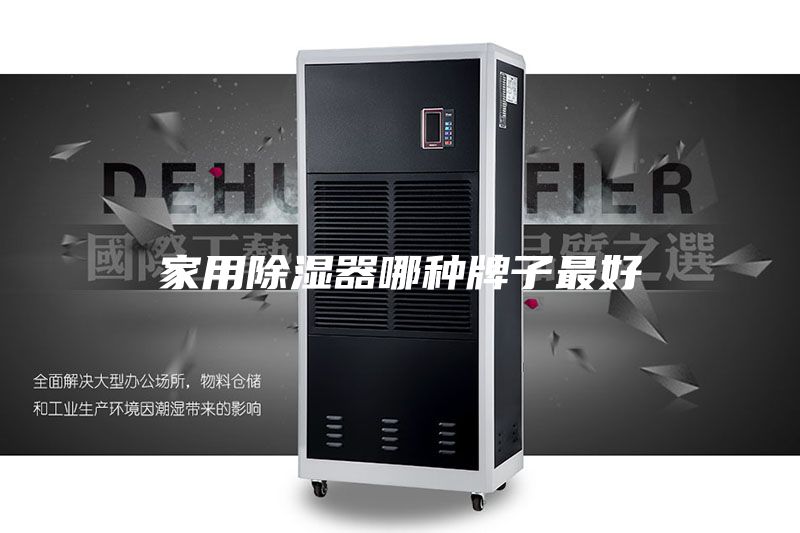 家用除湿器哪种牌子最好