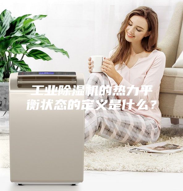工业除湿机的热力平衡状态的定义是什么？