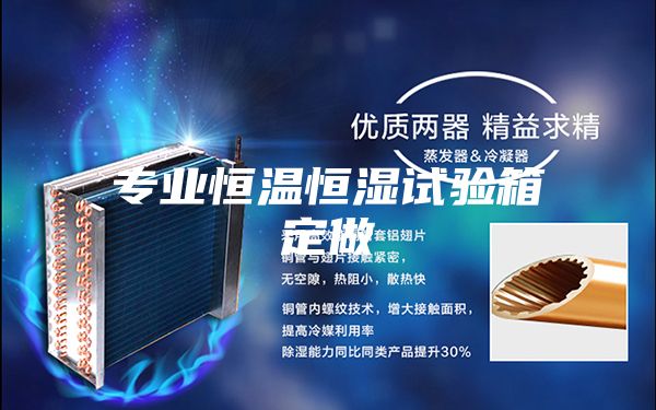专业恒温恒湿试验箱定做
