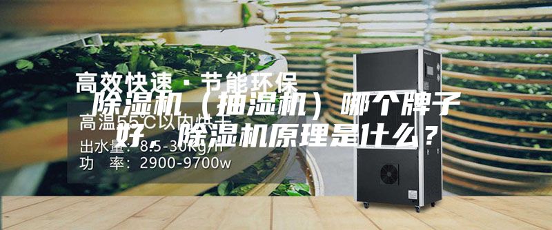 除湿机（抽湿机）哪个牌子好，除湿机原理是什么？