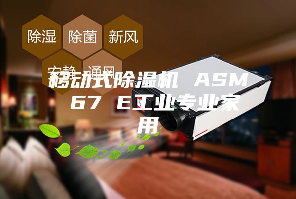 移动式除湿机 ASM 67 E工业专业家用