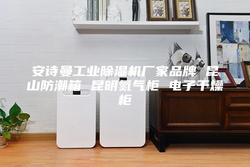 安诗曼工业除湿机厂家品牌 昆山防潮箱 昆明氮气柜 电子干燥柜