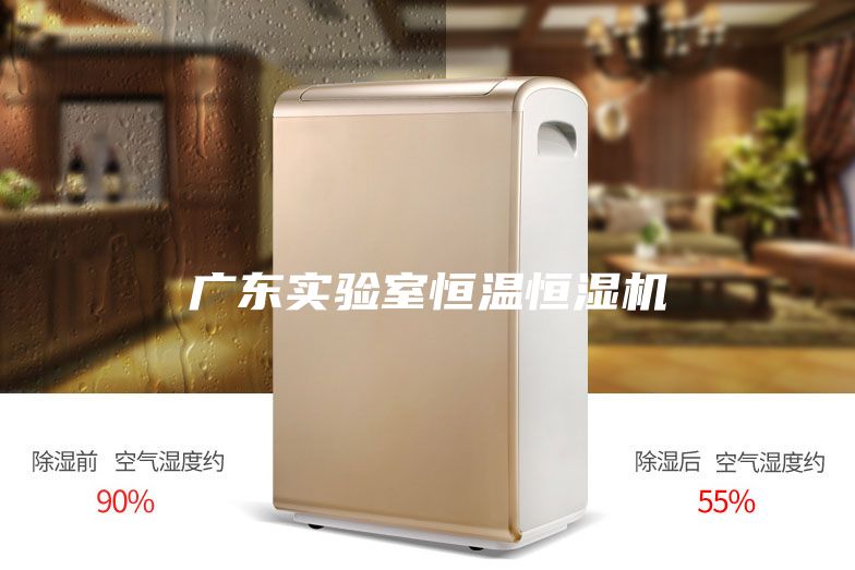 广东实验室恒温恒湿机