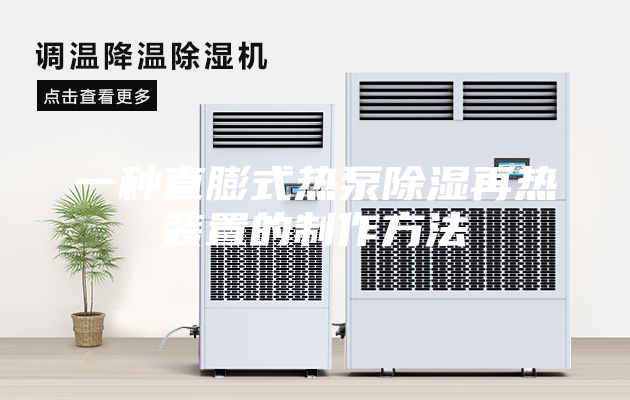 一种直膨式热泵除湿再热装置的制作方法