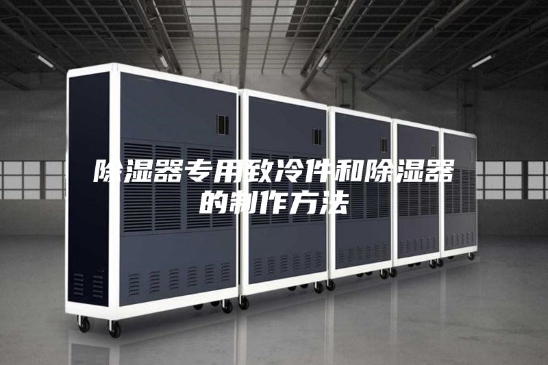 除湿器专用致冷件和除湿器的制作方法