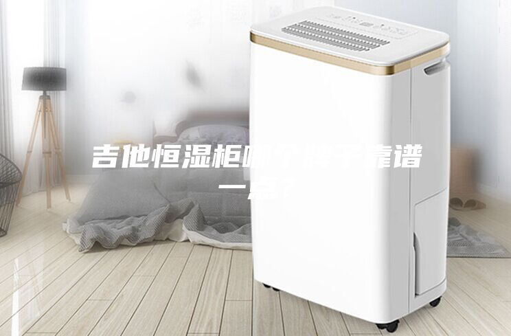 吉他恒湿柜哪个牌子靠谱一点?