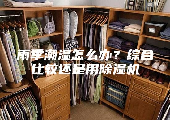 雨季潮湿怎么办？综合比较还是用除湿机