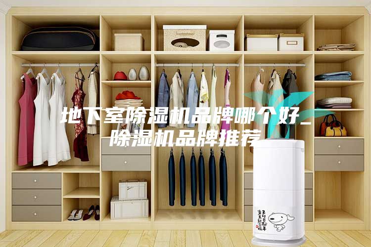 地下室除湿机品牌哪个好_除湿机品牌推荐