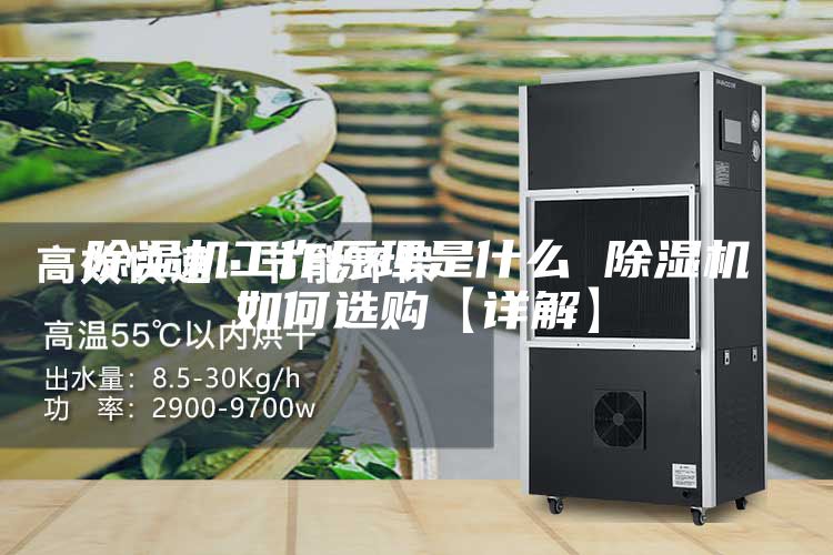 除湿机工作原理是什么 除湿机如何选购【详解】