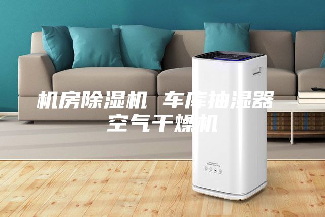 机房除湿机 车库抽湿器 空气干燥机