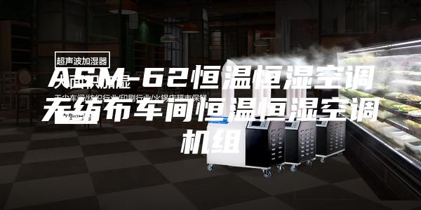 ASM-62恒温恒湿空调无纺布车间恒温恒湿空调机组