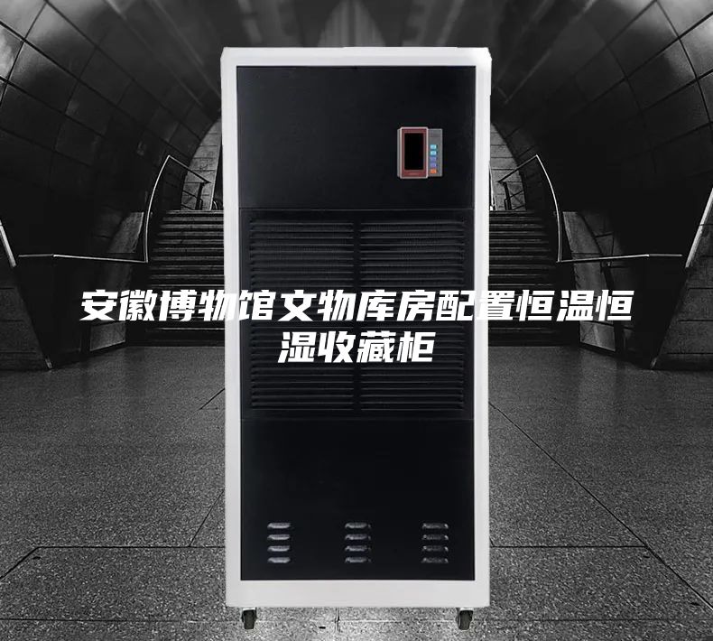 安徽博物馆文物库房配置恒温恒湿收藏柜