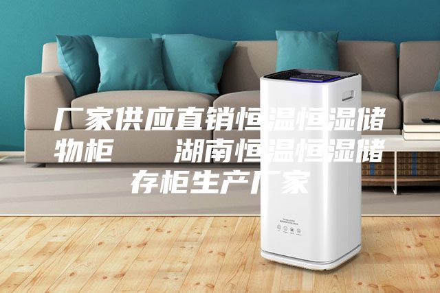 厂家供应直销恒温恒湿储物柜   湖南恒温恒湿储存柜生产厂家