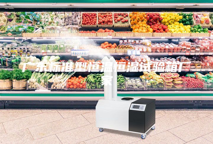 广东标准型恒温恒湿试验箱厂家