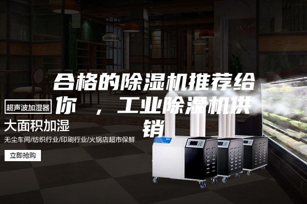 合格的除湿机推荐给你 ，工业除湿机供销