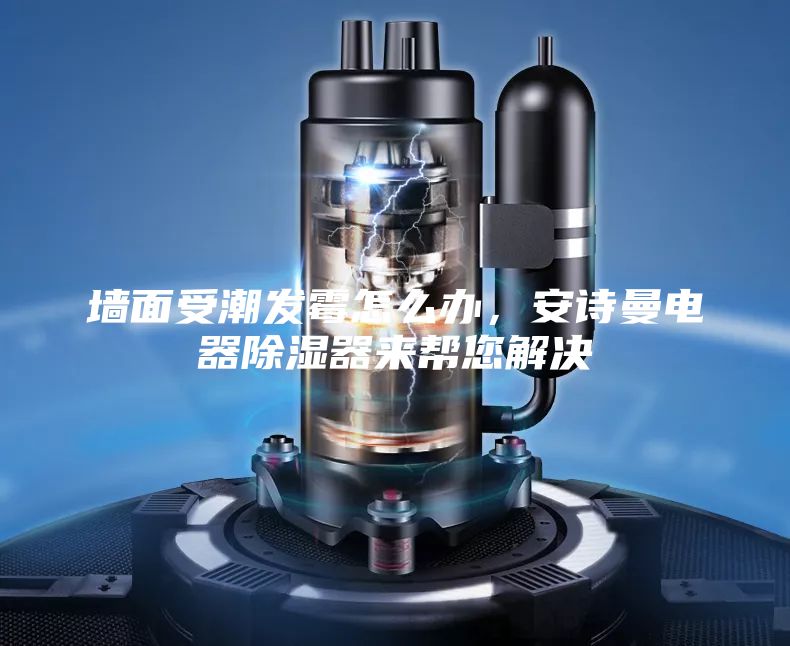 墙面受潮发霉怎么办,安诗曼电器除湿器来帮您解决