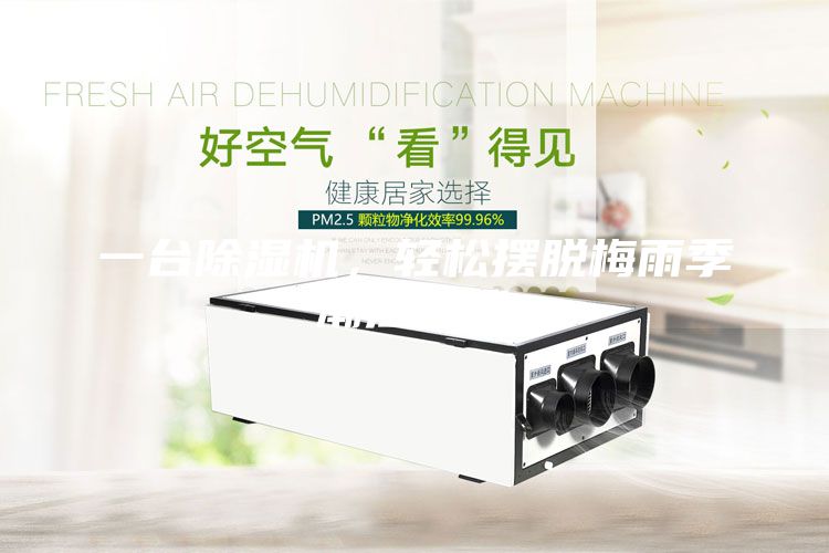 一台除湿机，轻松摆脱梅雨季潮湿困扰
