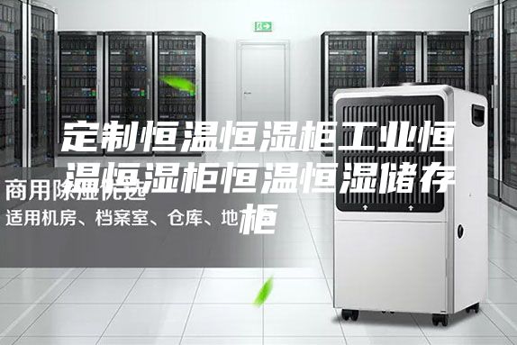 定制恒温恒湿柜工业恒温恒湿柜恒温恒湿储存柜