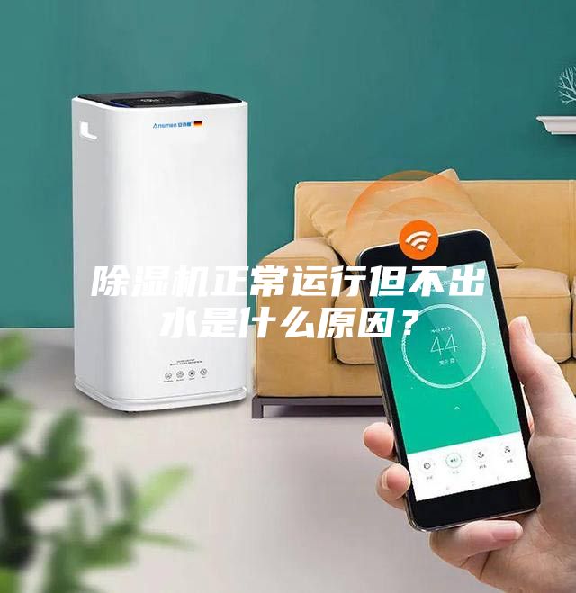 除湿机正常运行但不出水是什么原因？