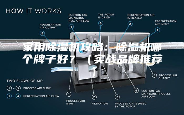 家用除湿机攻略：除湿机哪个牌子好？（实战品牌推荐）