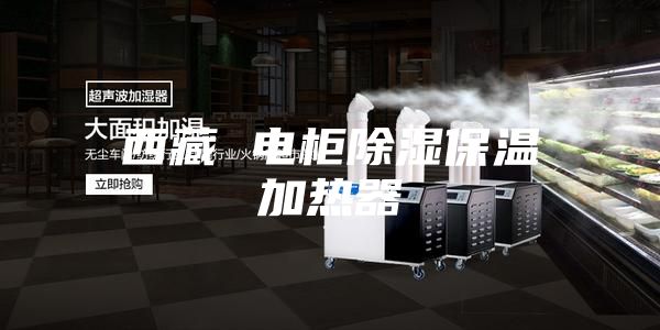 西藏 电柜除湿保温加热器