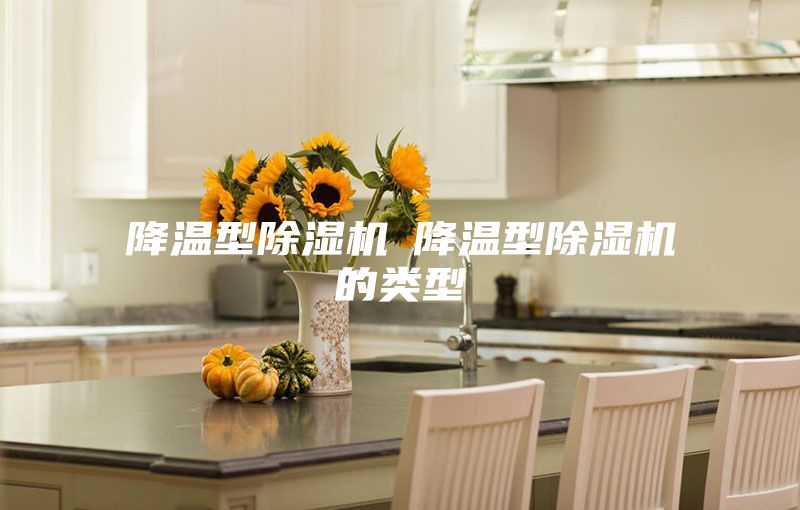 降温型除湿机─降温型除湿机的类型