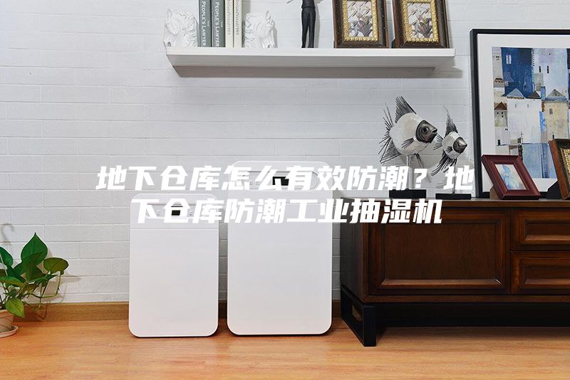 地下仓库怎么有效防潮?地下仓库防潮工业抽湿机