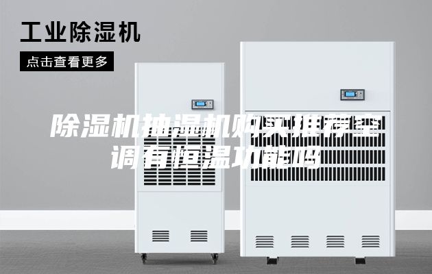 除湿机抽湿机购买推荐空调有恒温功能吗