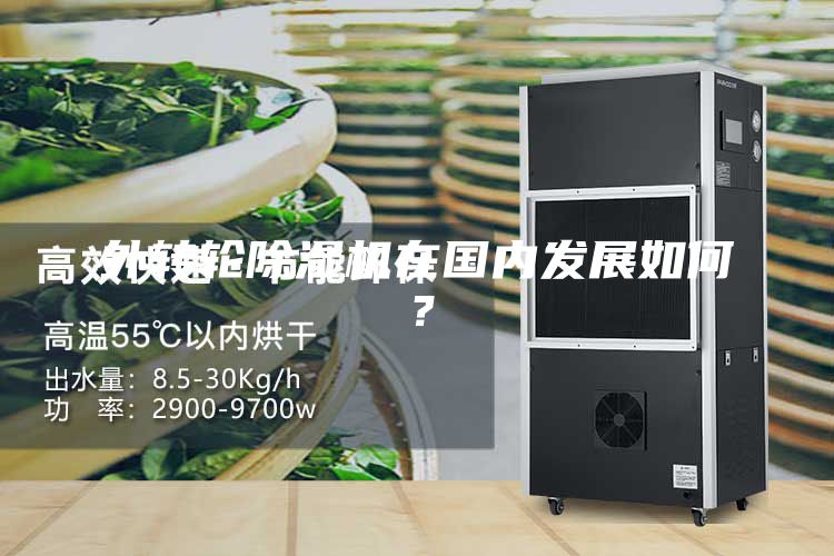 外转轮除湿机在国内发展如何？