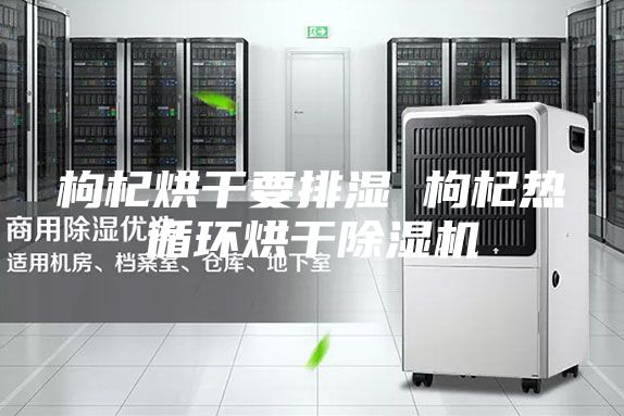 枸杞烘干要排湿 枸杞热循环烘干除湿机