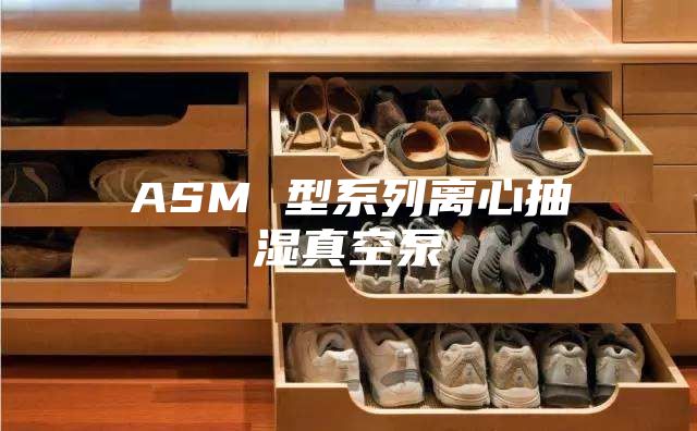 ASM 型系列离心抽湿真空泵