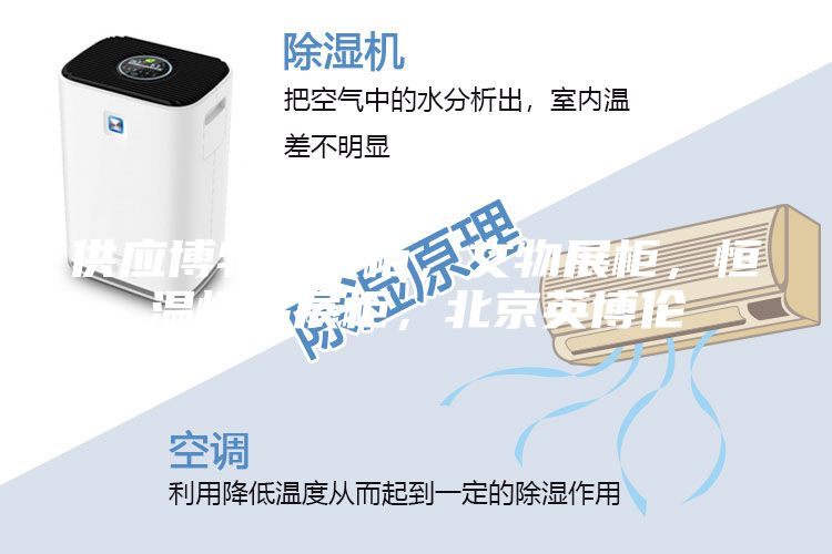 供应博物馆展柜,文物展柜,恒温恒湿展柜,北京英博伦