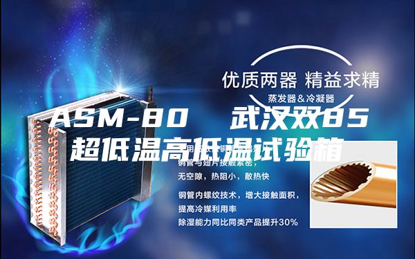 ASM-80  武汉双85超低温高低温试验箱